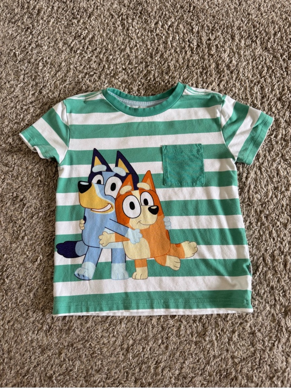 Little Sleepies Bluey & Bingo Tee, size 4T